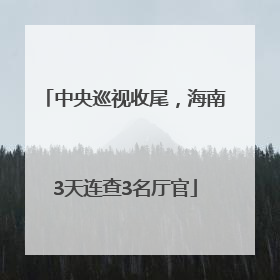 中央巡视收尾，海南3天连查3名厅官